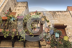 Flower pots Old Town Rhodes