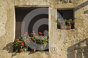 Flower pots in old windows at house number one