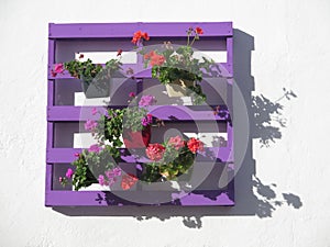 Purple pallet with flowers