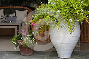 Flower pots in resort patio(Greece)