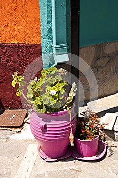 Flower Pots on Samos