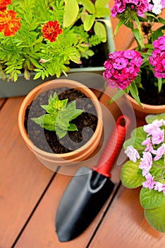 Flower pots and shovel pot in green garden