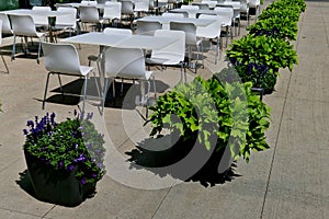 flower pots on the square. restaurant with plastic white tables and chairs in