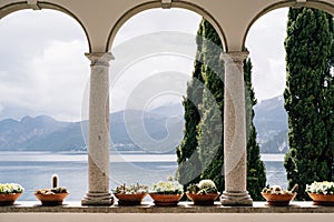 Flower pots with succulents in arches with columns overlooking Lake Como in Italy.