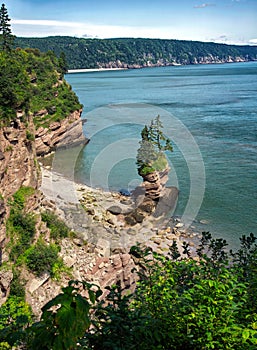 Flower Pots trail in Fundy Bay trail in New Brunswick