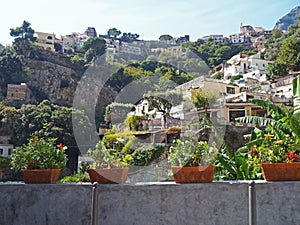 Flower Pots on Wall, The Amalfi Coast