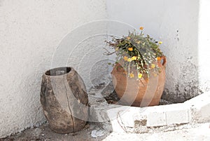 Flower pots on a white background
