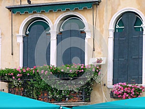 Flower Pots on Window Balcony, Venice, Italy