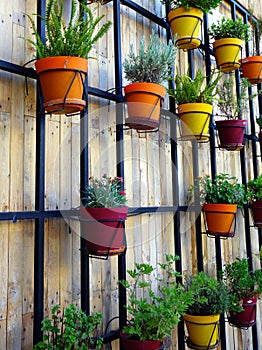 Flower Pots on Wooden Wall