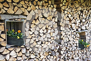 Flower pots in the woodsheds.