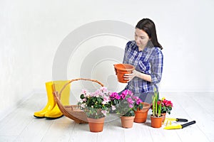 Flower potting, transplanting flowers.