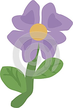 Flower in purple tone,plant for beauty,isolate on a white background