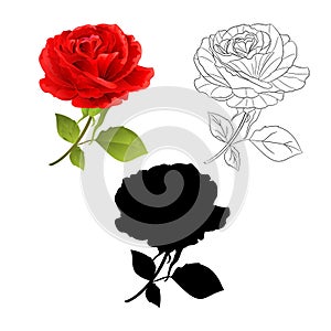 Flower red rose natural and outline and silhouette on a white background twig with leaves vintage vector illustration editable