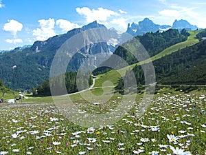 Flower road house mountain sky dolomites italy