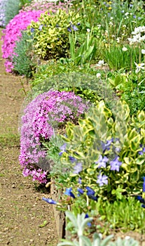 The flower rockery in a garden