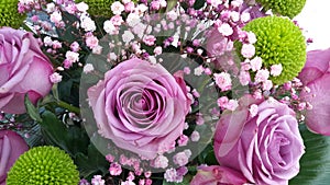 Flower rose 100