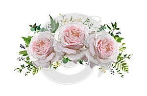 Flower rose Bouquet vector design wreath. Peach, pink roses, eucalyptus, blue privet berry herbal plant mix. Greeting cute lovely photo