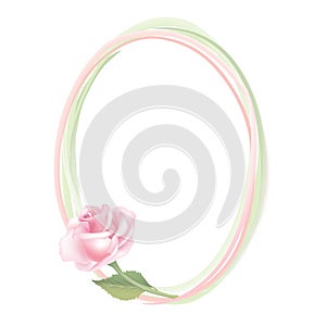 Flower Rose frame on white background. Floral decor.