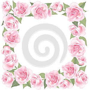 Flower Rose frame on white background. Floral decor.