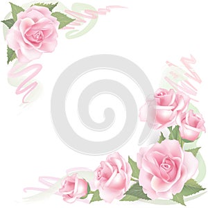 Flower Rose frame on white background. Floral greeting card background decor.