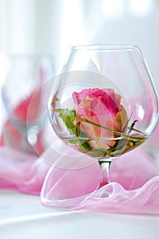Flower of rose in a glass like table decoration