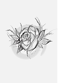 Flower Rose, sketch, painting. Hand drawing. White bud, petals, stem and leaves. Monochrome, Black and white illustration