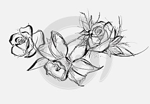 Flower Rose, sketch, painting. Hand drawing. White bud, petals, stem and leaves. Monochrome, Black and white illustration