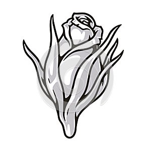 Flower rose vintage emblem monochrome