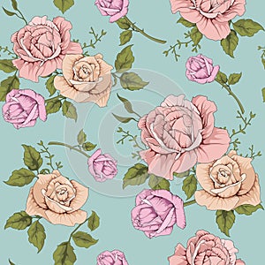 Flower rose vintage illustration