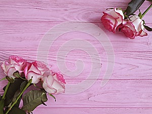 flower rose wooden background frame pattern