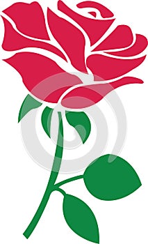 Flower Roses jpg with svg vector cut file for cricut and silhouette photo