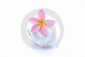 Flower on rumpled paper ball photo