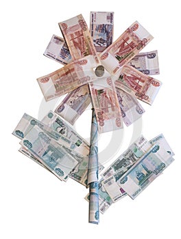 Flower of the Russian banknotes