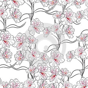 Flower seamless pattern with beautiful line alstroemeria lily flowers branch
