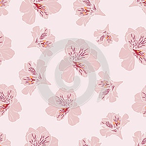 Flower seamless pattern with beautiful pink alstroemeria lily flowers on pink background template
