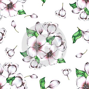 Flower Seamless Pattern hand painted in watercolor