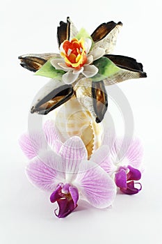 Flower from seashells