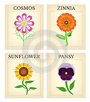 Flower Seed packets photo