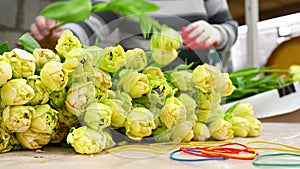 flower seller or florist collects a bouquet of yellow peony-shaped tulips against the background of a greenhouse or