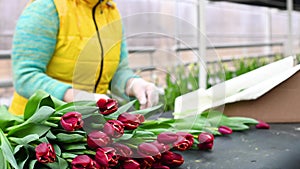 flower seller or a florist collects flower arrangements on the background of bouquets of tulips. Spring Festival
