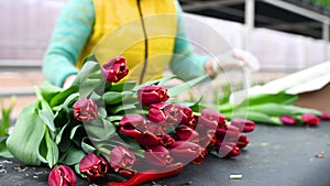 flower seller or a florist collects flower arrangements on the background of bouquets of tulips. Spring Festival