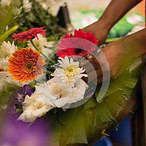 Flower seller is making flower a bouquet with red and orange color gerbera and white dahlia flower