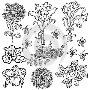 Flower set. Vector illustration. Flowers isolated on white background.