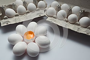 Flower shaped raw egg. Yolk, albumen, eggshell, open consumer carton pack mockup