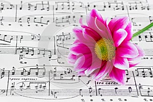 Flower on sheet music