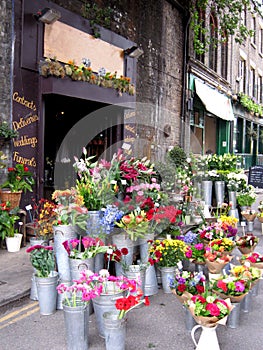 Flower shop