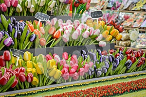 Flower shop in Bloemenmarkt, Amsterdam Netherlands. March 2015.
