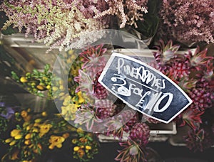 Flower Shop Blooming Bouquet Plant Marketplace Concept