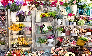 Flower shop, bouquets on shelf, florist business