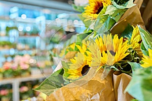Flower shop, close-up of fresh flowers in buckets, yellow decorative sunflowers